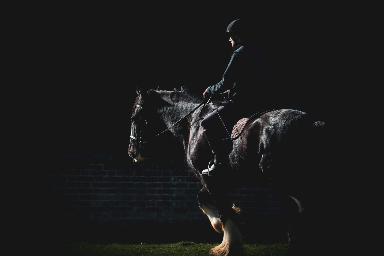 A metáfora mental do cavalo e do cavaleiro segundo a Psicologia