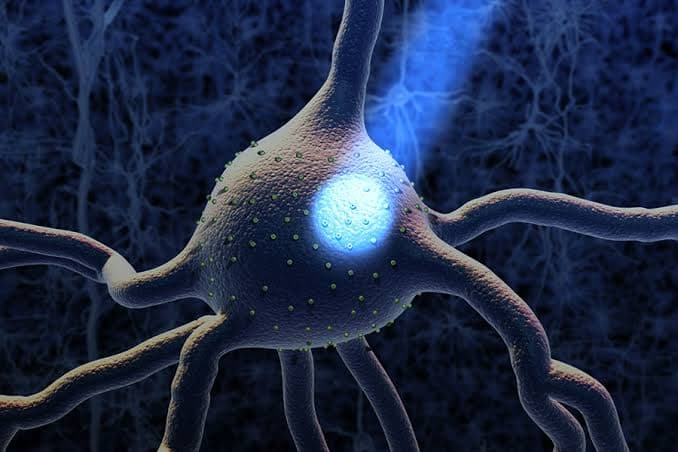 Prémio Nobel de Fisiologia ou Medicina de 2026