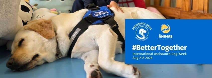 ÂNIMAS associa-se à campanha internacional #Better Together que defende padrões rigorosos na formação de cães de assistência