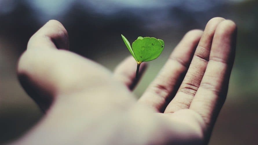 O valor da vida e a importância de falar sobre suicídio