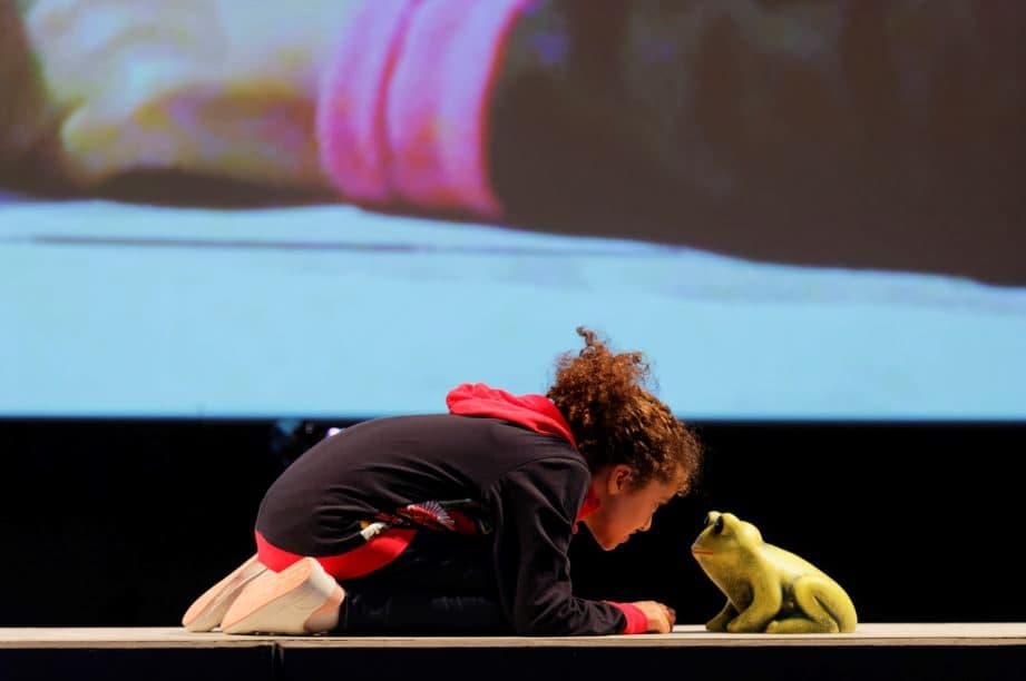 Peça "Engolir sapos" no Teatro Municipal do Porto